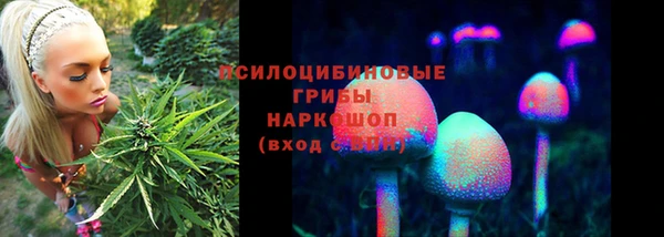 ECSTASY Абаза