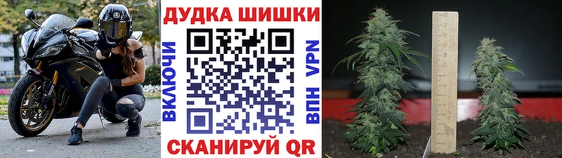 Бошки марихуана THC 21% Усть-Лабинск